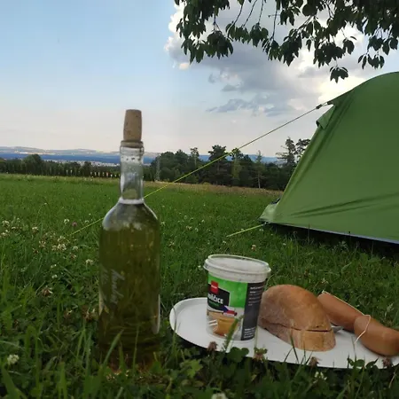 Meadow By The Forest