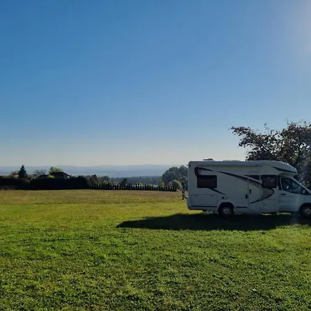 Meadow By The Forest * Tabor
