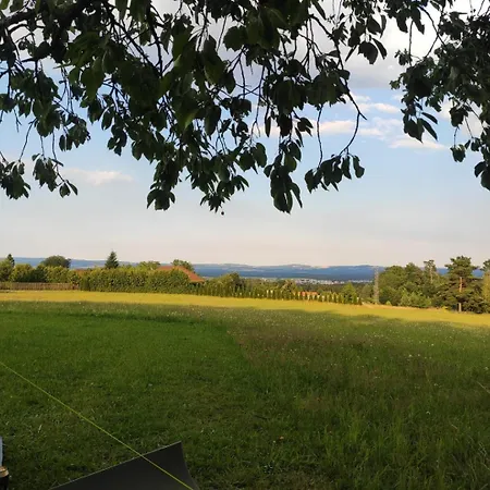 Meadow By The Forest *